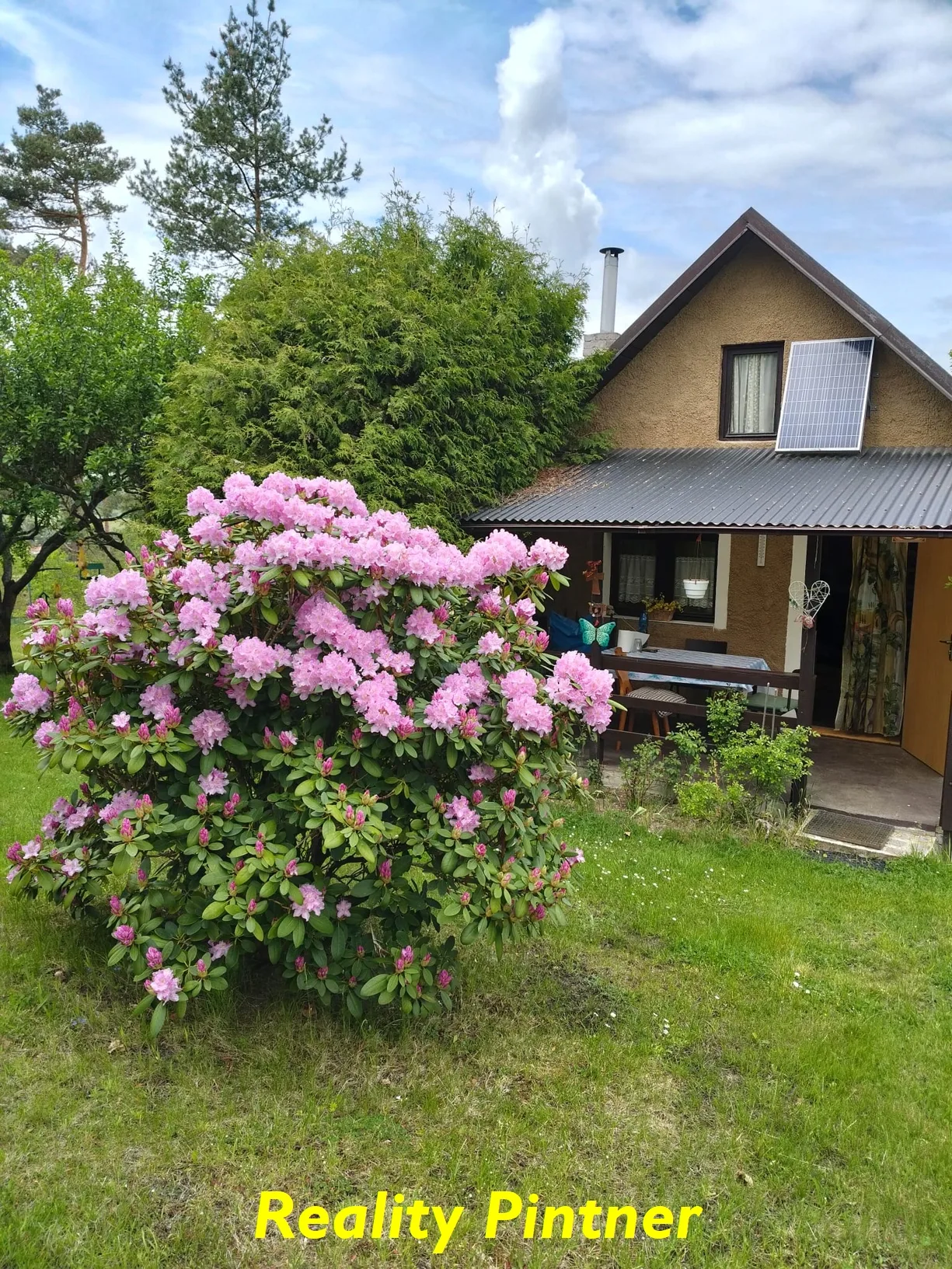 Foto 29