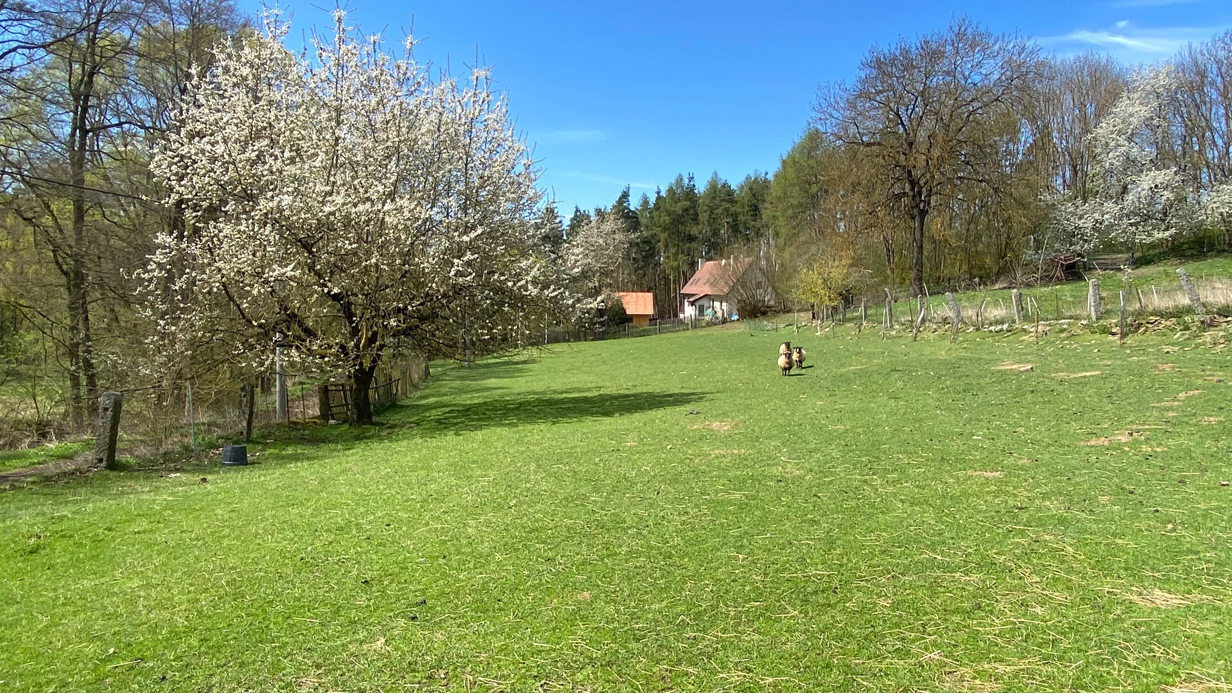Foto 10