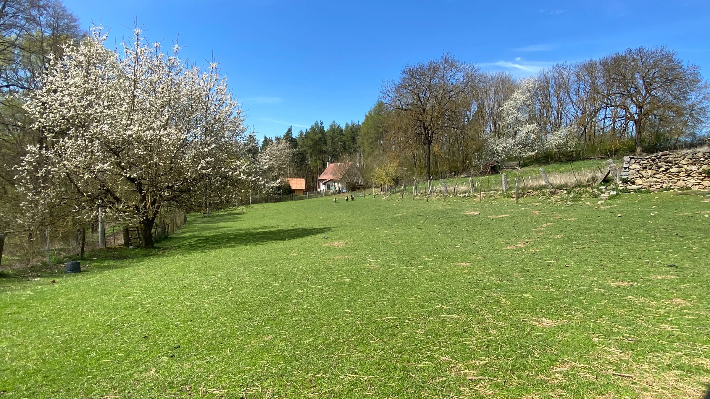 Foto 11