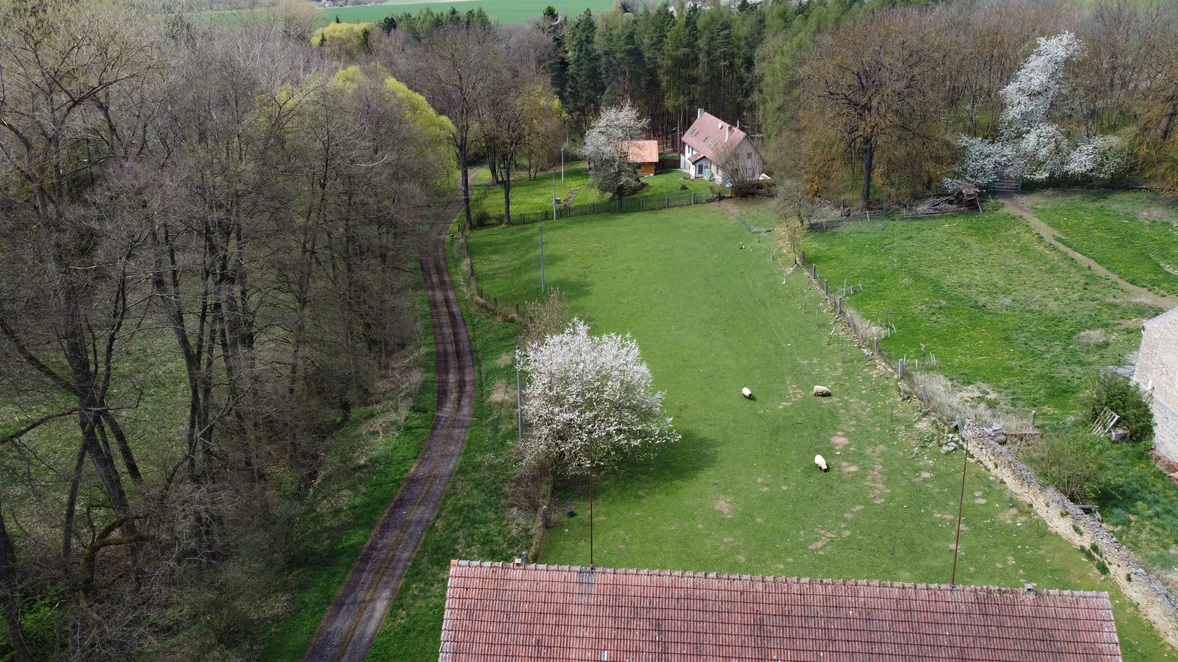 Foto 13