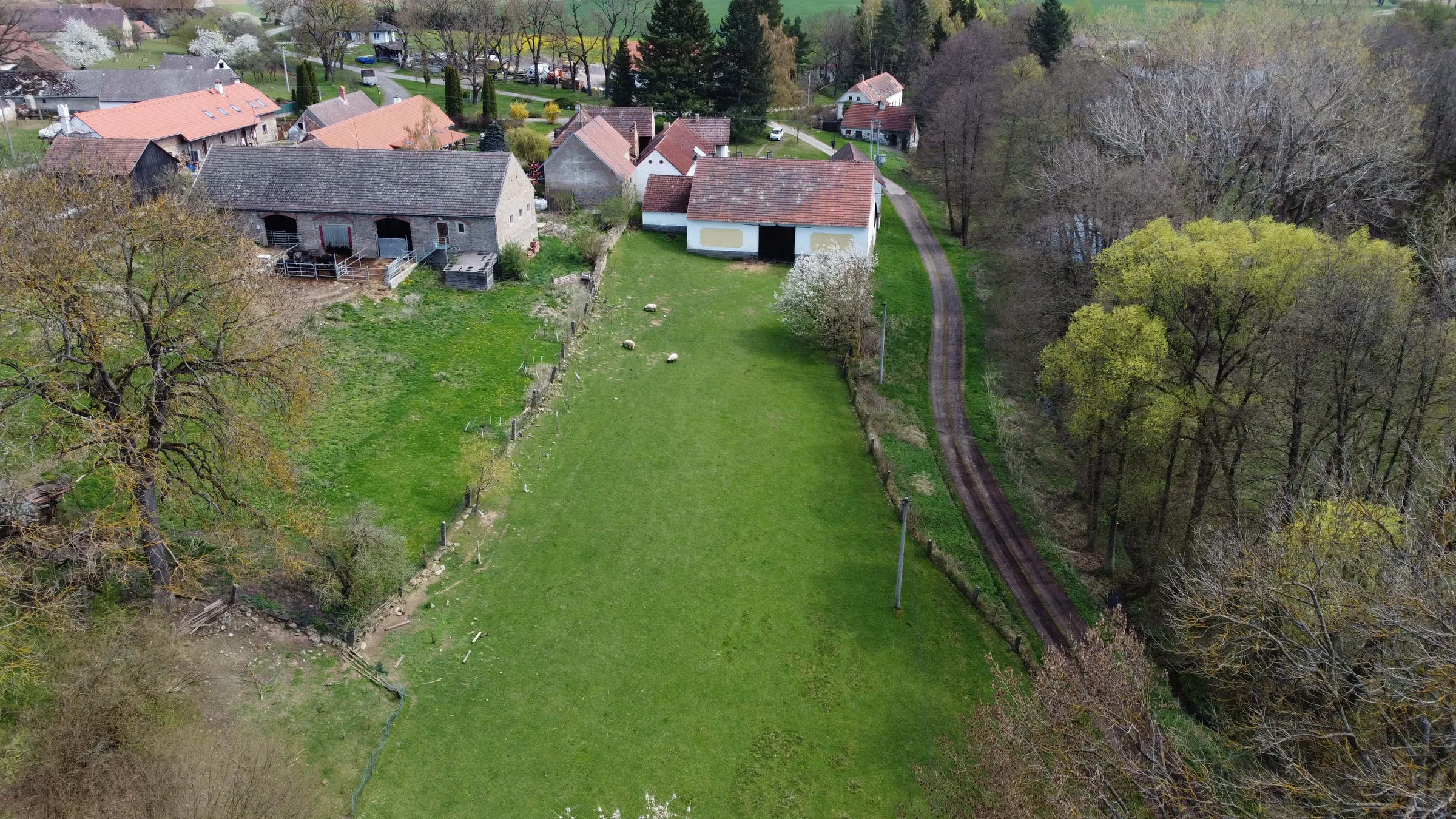 Foto 12